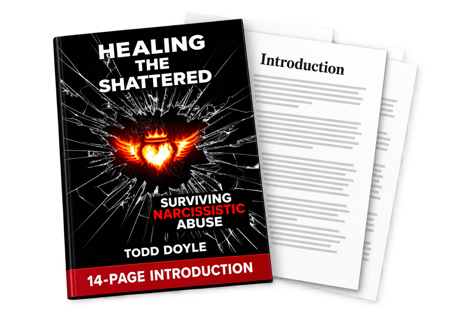 Free 14-page introduction to Healing the Shattered
